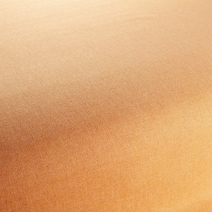 Chivasso Manifest 060 Fabric Sample CH3290/060