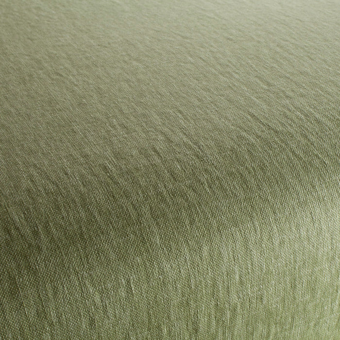 Chivasso Pure Passion 030 Fabric Sample CH3332/030