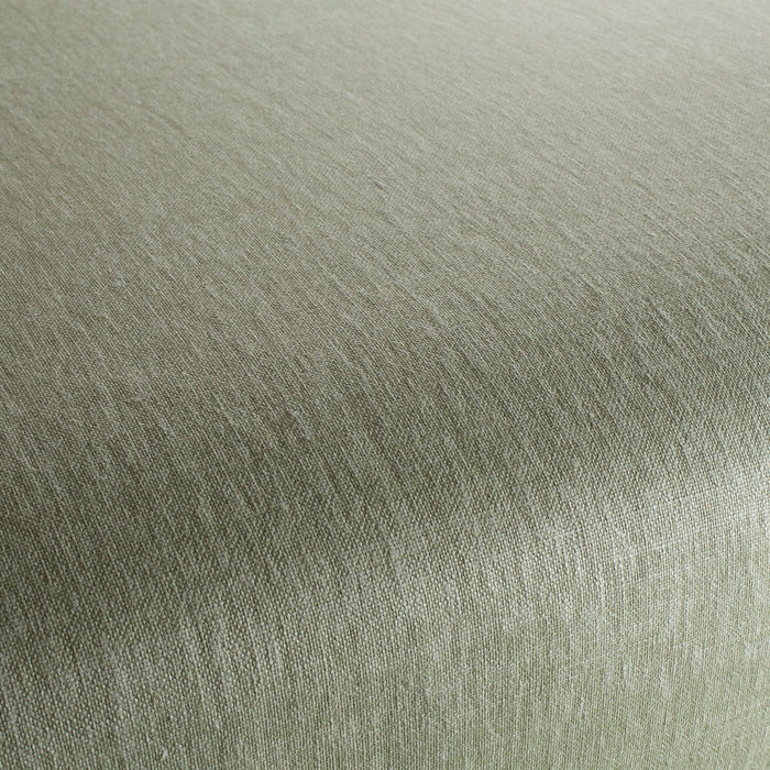 Chivasso Pure Passion 031 Fabric CH3332/031