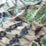 Chivasso Wonderworld 050 Fabric CH3334/050
