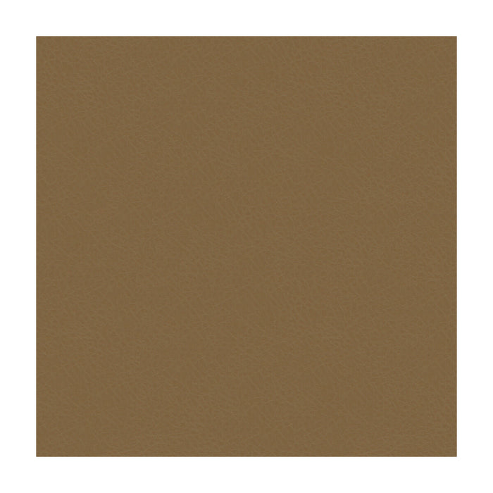 Kravet Smart CHADRICK.106.0 Chadrick-106 Fabric Sample