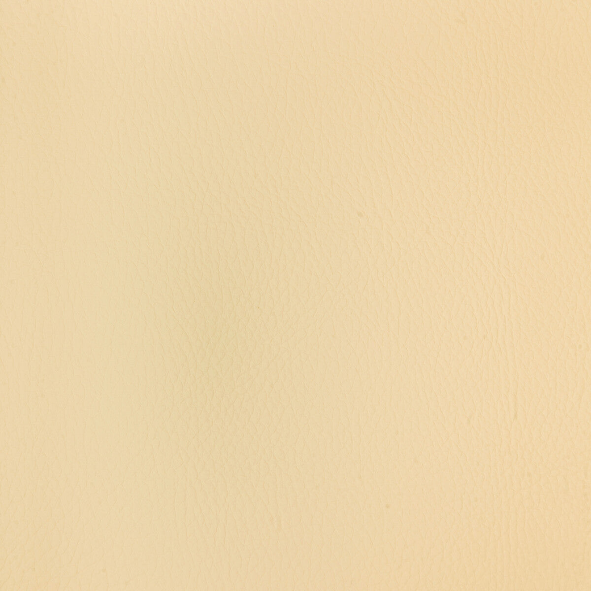 Kravet Design CHROME.1.0 Fabric