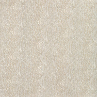 Kravet Basics Chromis Oyster Fabric CHROMIS.16.0