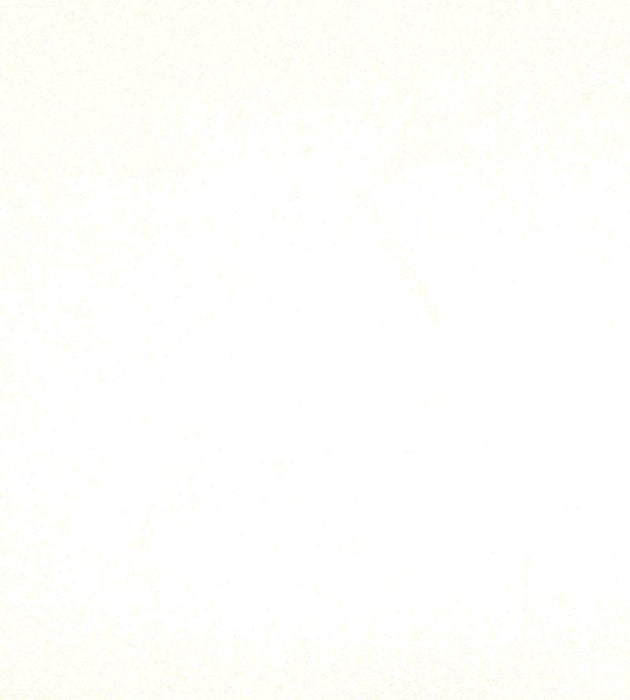 Christian Fischbacher Atomic Fr Paper White Fabric Sample CH44600100