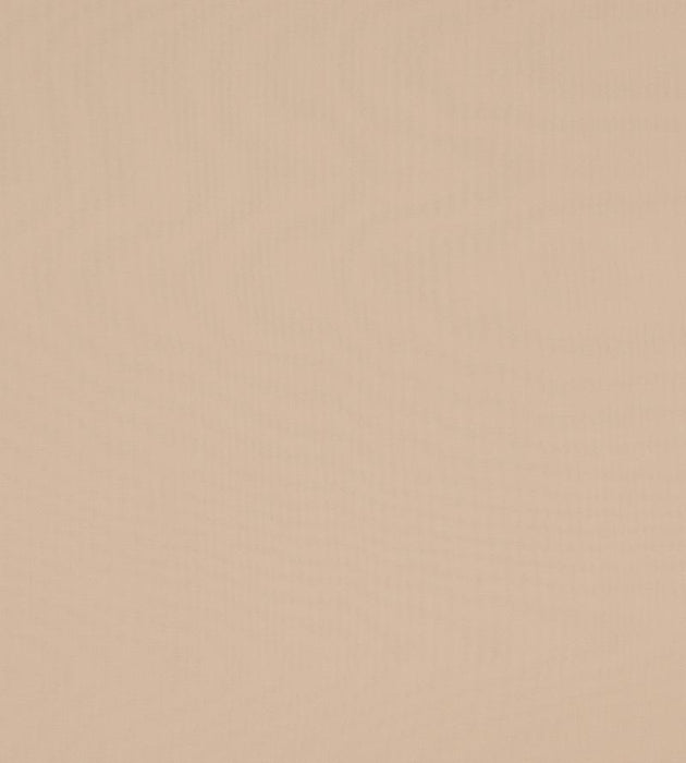 Christian Fischbacher Madrid Cs Iv Vanilla Fabric Sample CH46200103