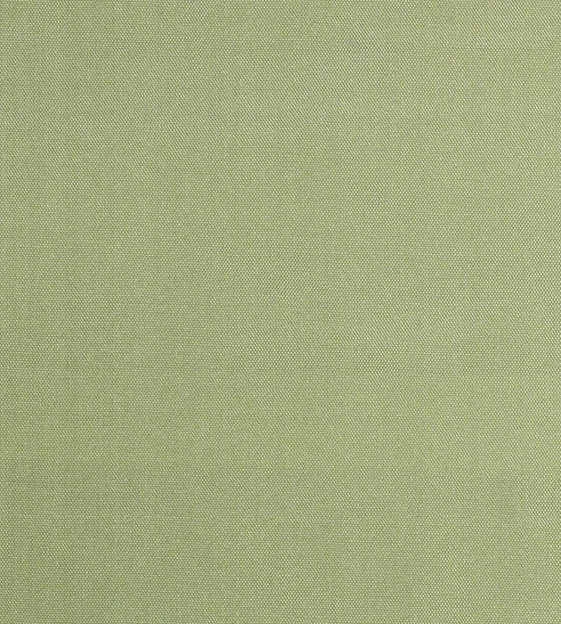 Christian Fischbacher Siam Celadon Fabric Sample CH44000104