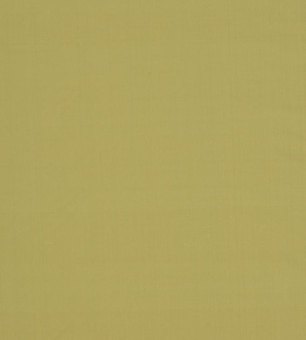 Christian Fischbacher Jamila Ii Green Tea Fabric Sample CH45000104