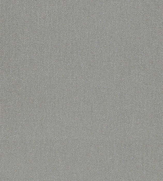 Christian Fischbacher Aramena Steel Fabric Sample CH42700105