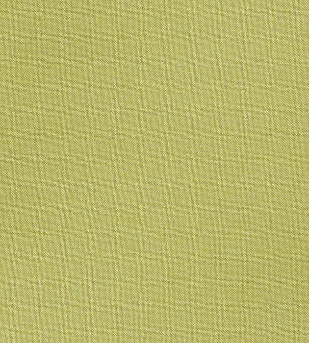 Christian Fischbacher Aramena Avocado Fabric Sample CH42700114