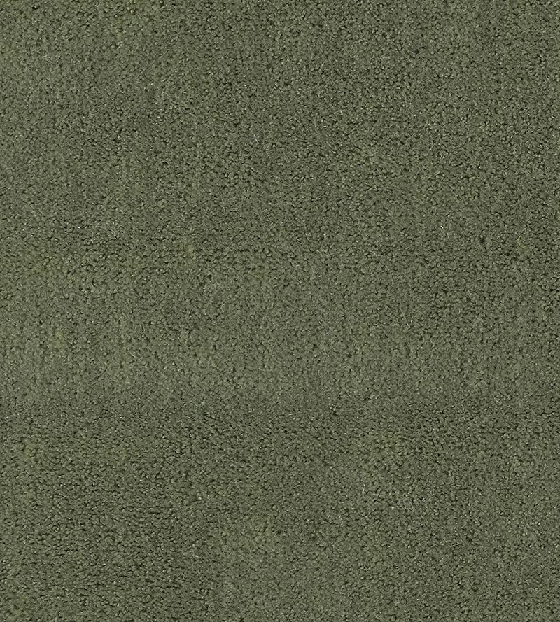 Christian Fischbacher Apollodor Sage Fabric CH43000114