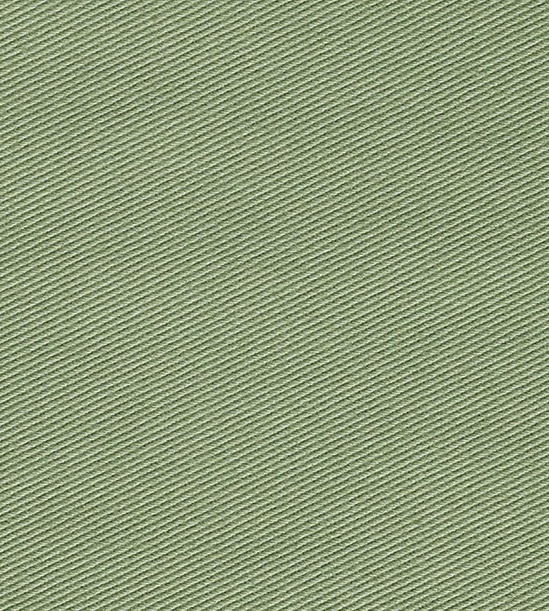 Christian Fischbacher Kay Ii Asparagus Fabric Sample CH44500114