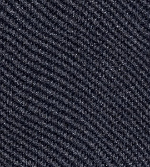 Christian Fischbacher Aramena Navy Fabric Sample CH42700121