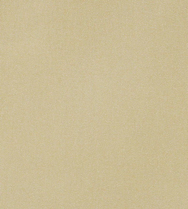 Christian Fischbacher Aramena Creme Caramel Fabric Sample CH42700123