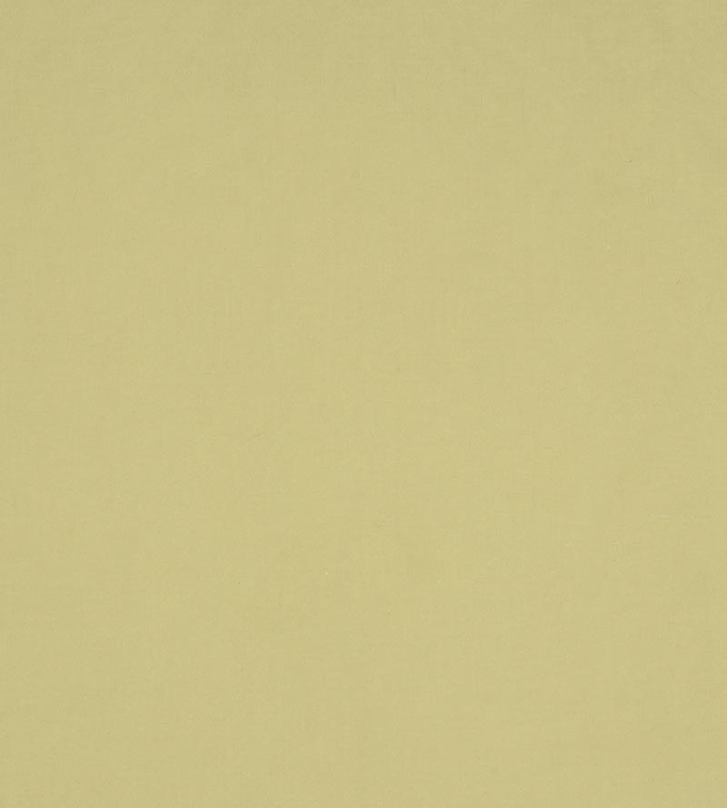 Christian Fischbacher Sonatine Kiwi Fabric Sample CH43100124