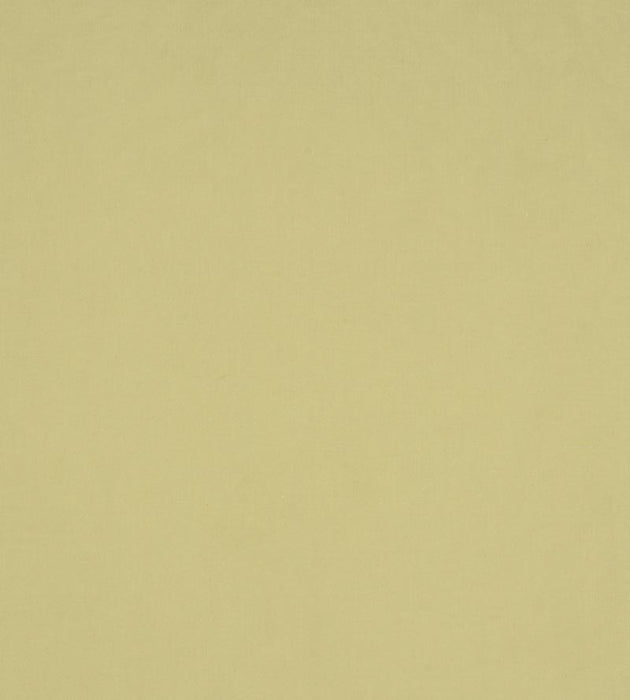 Christian Fischbacher Sonatine Kiwi Fabric Sample CH43100124