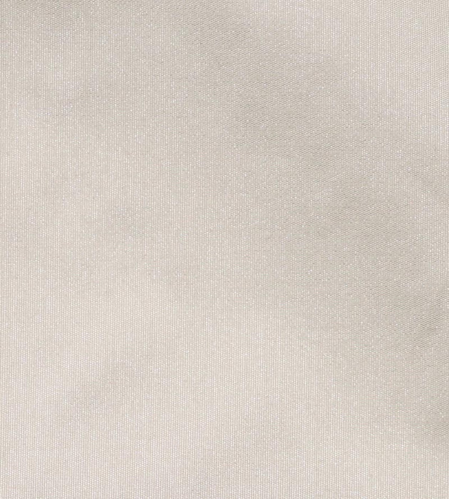Christian Fischbacher Taffeta Bs Putty Fabric Sample CH45400125