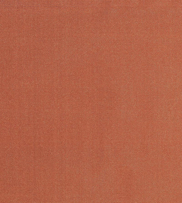 Christian Fischbacher Siam Irish Setter Fabric Sample CH44000133