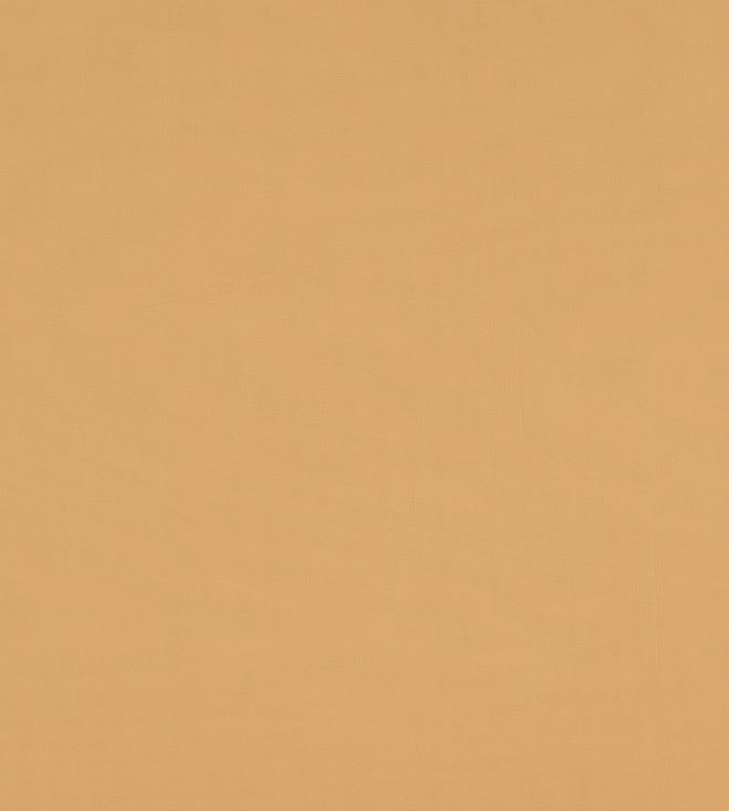 Christian Fischbacher Madrid Cs Iv Melon Fabric Sample CH46200133