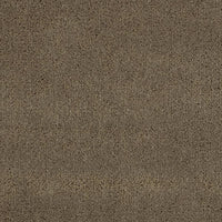 Christian Fischbacher Apollodor Mink Fabric CH43000137