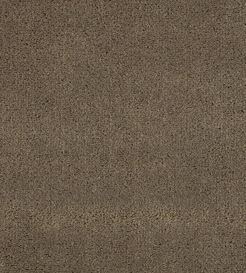 Christian Fischbacher Apollodor Mink Fabric CH43000137