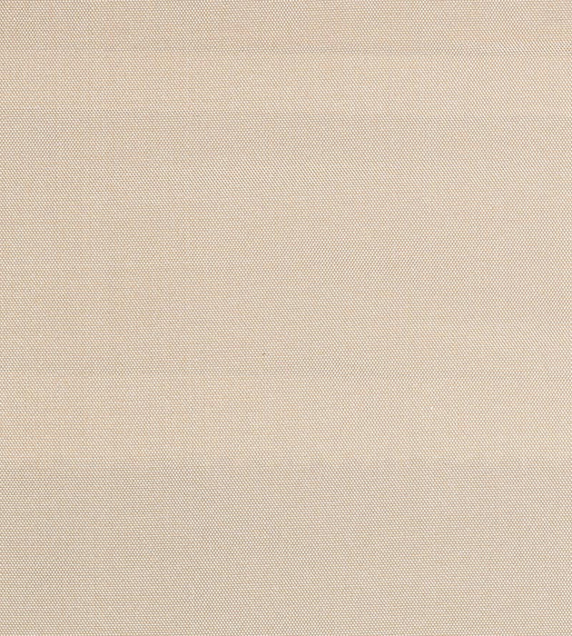 Christian Fischbacher Siam Eggnog Fabric Sample CH44000137
