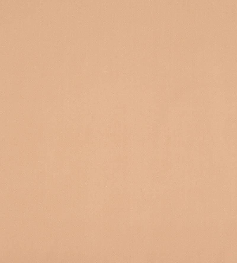 Christian Fischbacher Atomic Fr Mink Fabric Sample CH44600137
