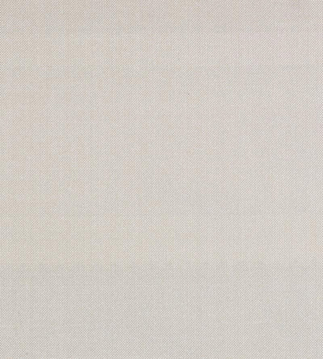 Christian Fischbacher Siam Fawn Fabric Sample CH44000147