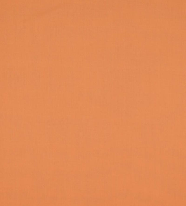 Christian Fischbacher Madrid Cs Iv Spice Fabric Sample CH46200153