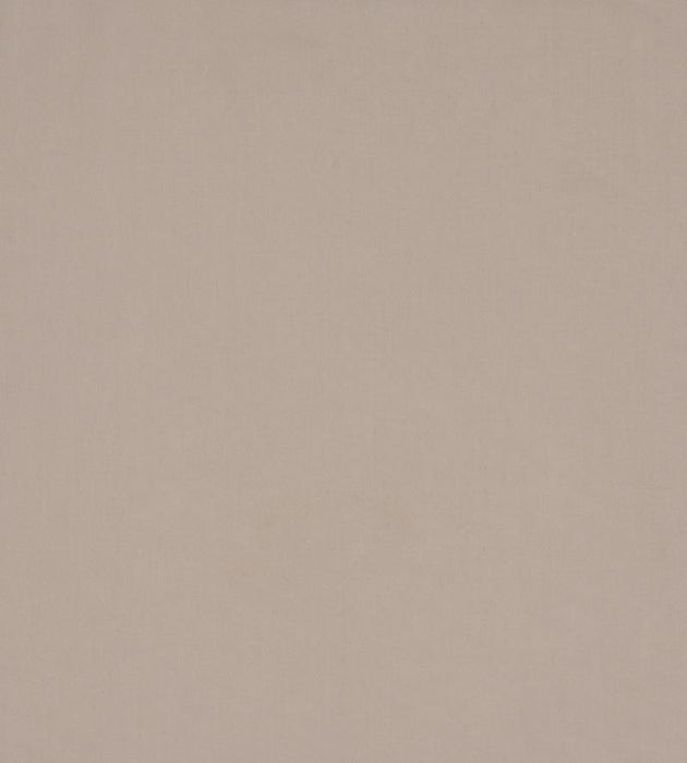 Christian Fischbacher Sonatine Buckskin Fabric Sample CH43100167