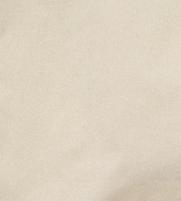 Christian Fischbacher Taffeta Bs Pumice Stone Fabric Sample CH45400177