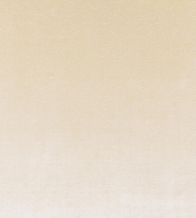 Christian Fischbacher Classic Velvet Cream Fabric Sample CH06620207