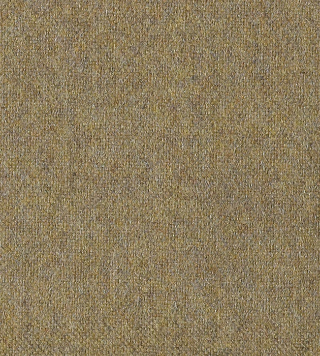 Christian Fischbacher Polaris Curry Fabric Sample CH43930313