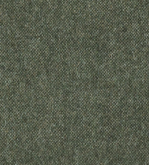 Christian Fischbacher Polaris Moss Fabric Sample CH43930314