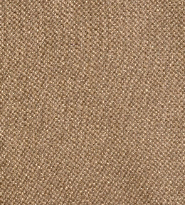 Christian Fischbacher Fata Morgana Ginger Fabric Sample CH14370402