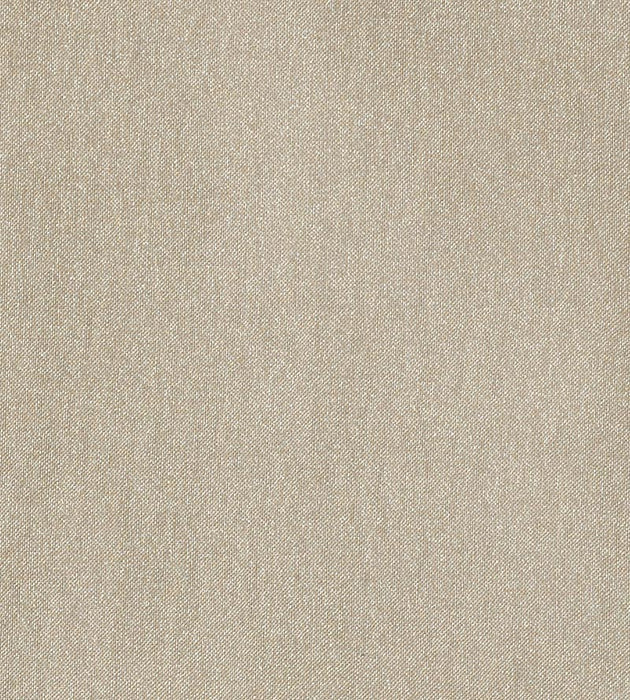 Christian Fischbacher Fata Morgana Blonde Fabric Sample CH14370403