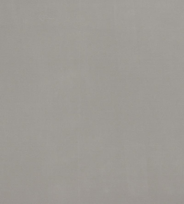 Christian Fischbacher Bon Ton Silver Fabric Sample CH27550505