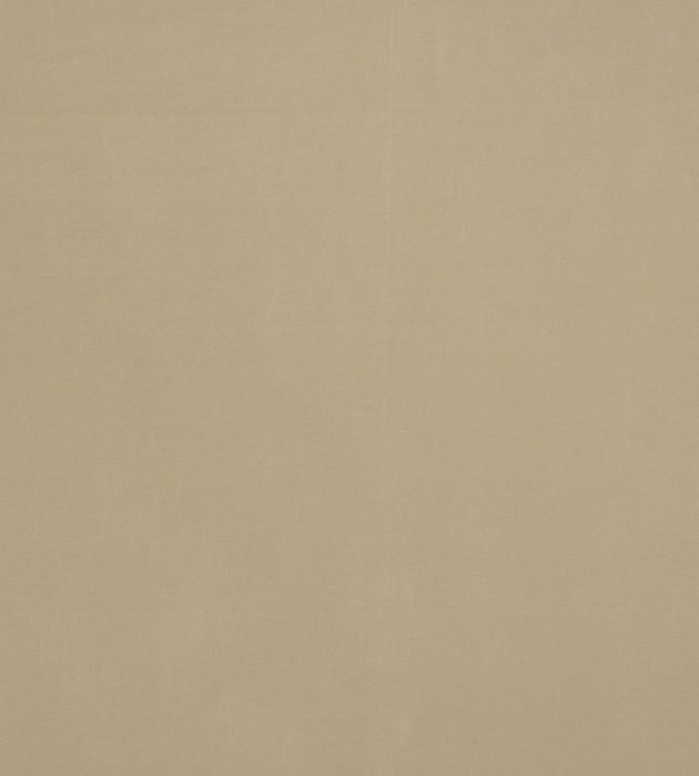 Christian Fischbacher Bon Ton Hazelnut Fabric Sample CH27550527