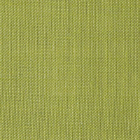 Christian Fischbacher Alsara Kiwi Fabric CH41760614
