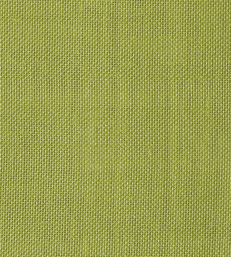 Christian Fischbacher Alsara Kiwi Fabric Sample CH41760614
