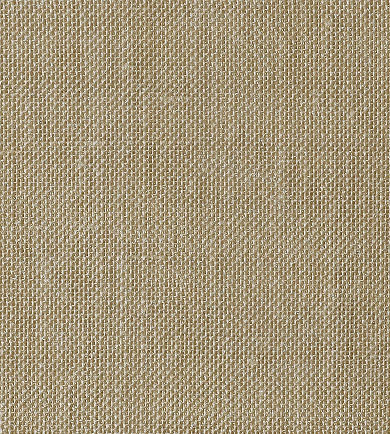 Christian Fischbacher Alsara Birch Fabric Sample CH41760667