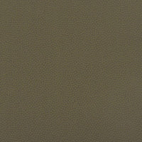 Christian Fischbacher Sterling Olive Fabric CH44770704