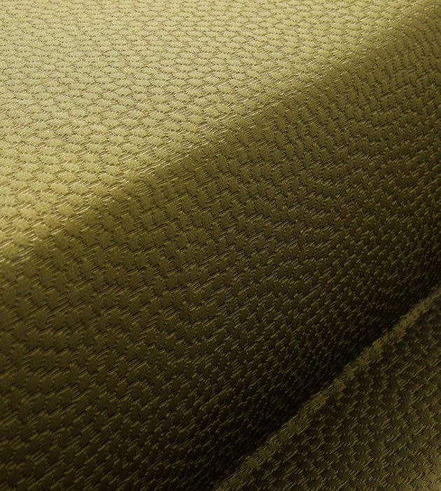 Christian Fischbacher Sterling Olive Fabric Sample CH44770704
