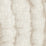 Christian Fischbacher Ink Shell Fabric CH43470717