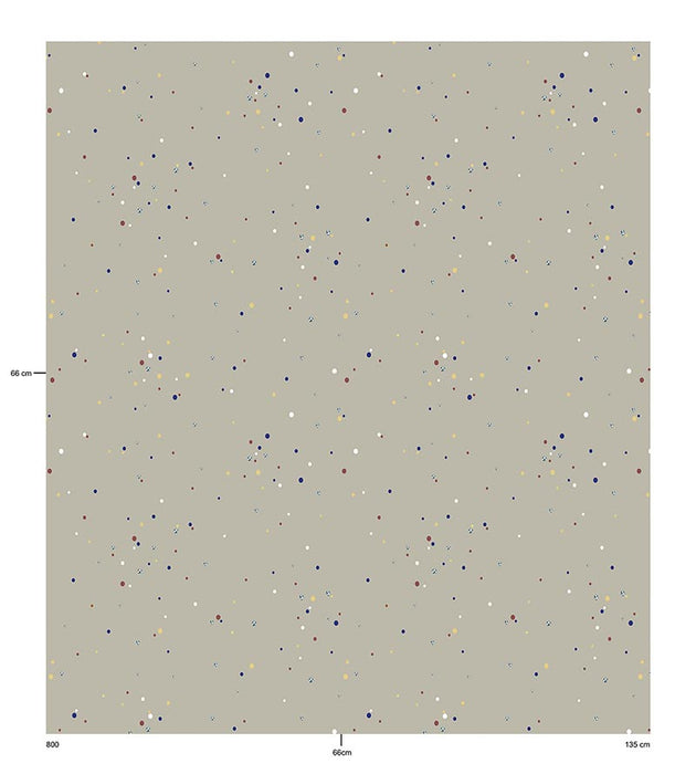 Christian Fischbacher Jubilee Silver Screen Fabric Sample CH45980805