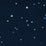 Christian Fischbacher Jubilee Constellation Fabric Sample CH45980841