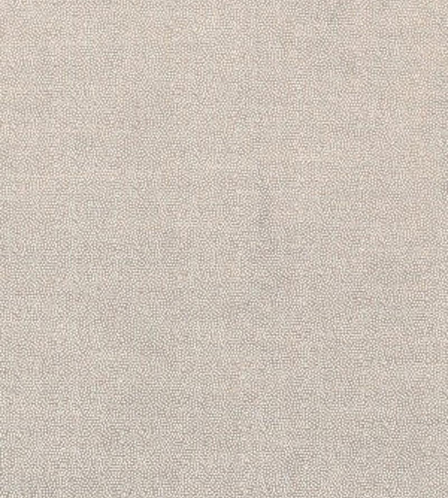 Christian Fischbacher Velvet Ray Sand Fabric Sample CH44790907