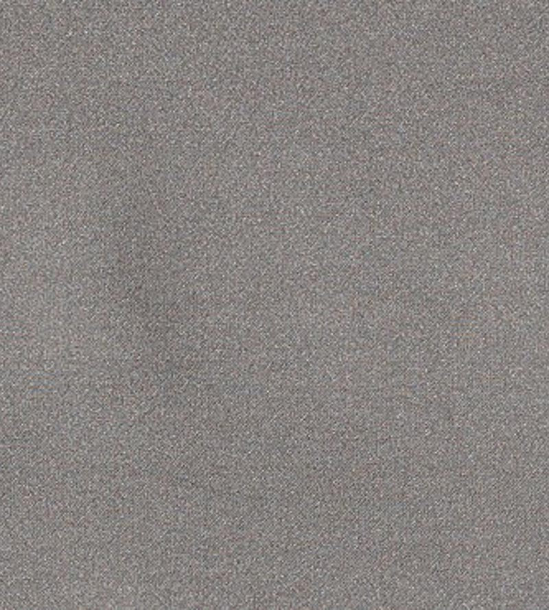 Christian Fischbacher Georgette Driftwood Fabric CH25190925