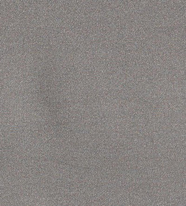 Christian Fischbacher Georgette Driftwood Fabric Sample CH25190925