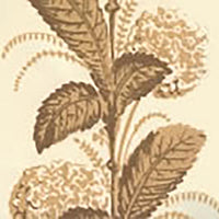 Quadrille Climbing Hydrangea Taupe Wallpaper 303300WP
