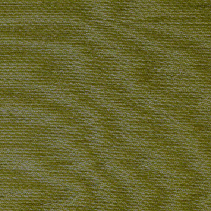 Kravet Contract Clutch Grasshoper Fabric Sample CLUTCH.130.0